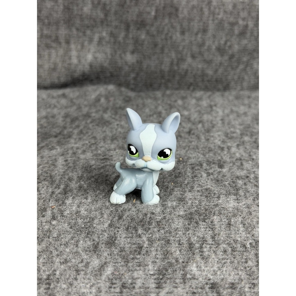 Hasbro Littlest Pet Shop Gray Boston Terrier Dog #857 Figure 2004 LPS Toy C-037